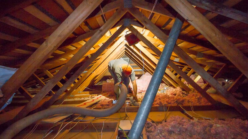 American Attic